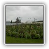 bloomingb_floriade_2012-4449