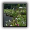 bloomingb_floriade_2012-4466